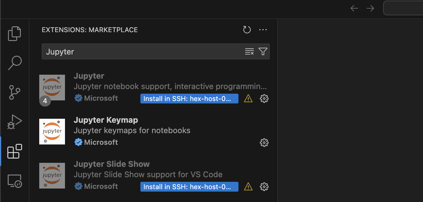 Installing the Jupyter service on a remote VSCode instance