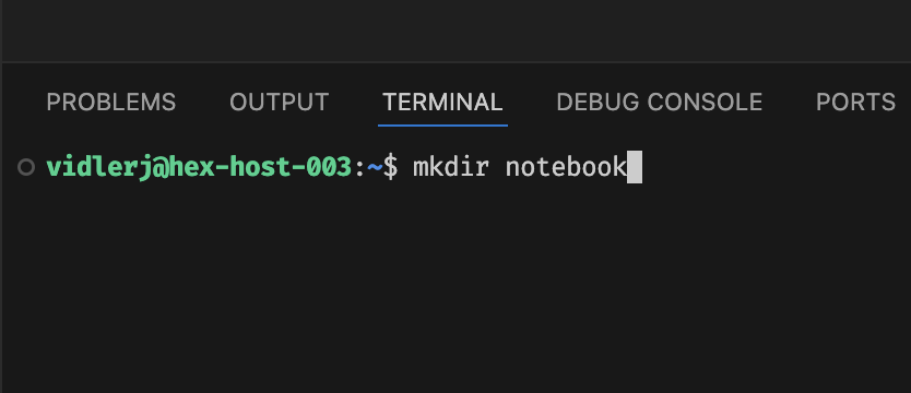 Running 'mkdir' in the built-in terminal to create a new directory in our home drive