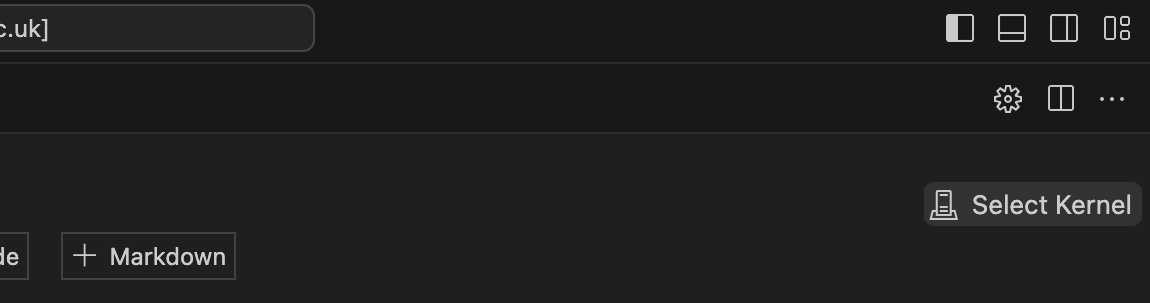 The Python Kernel selection button